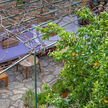 מלון Tulipan אנטליה