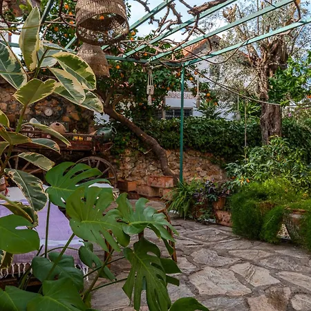 Tulipan 5* אנטליה